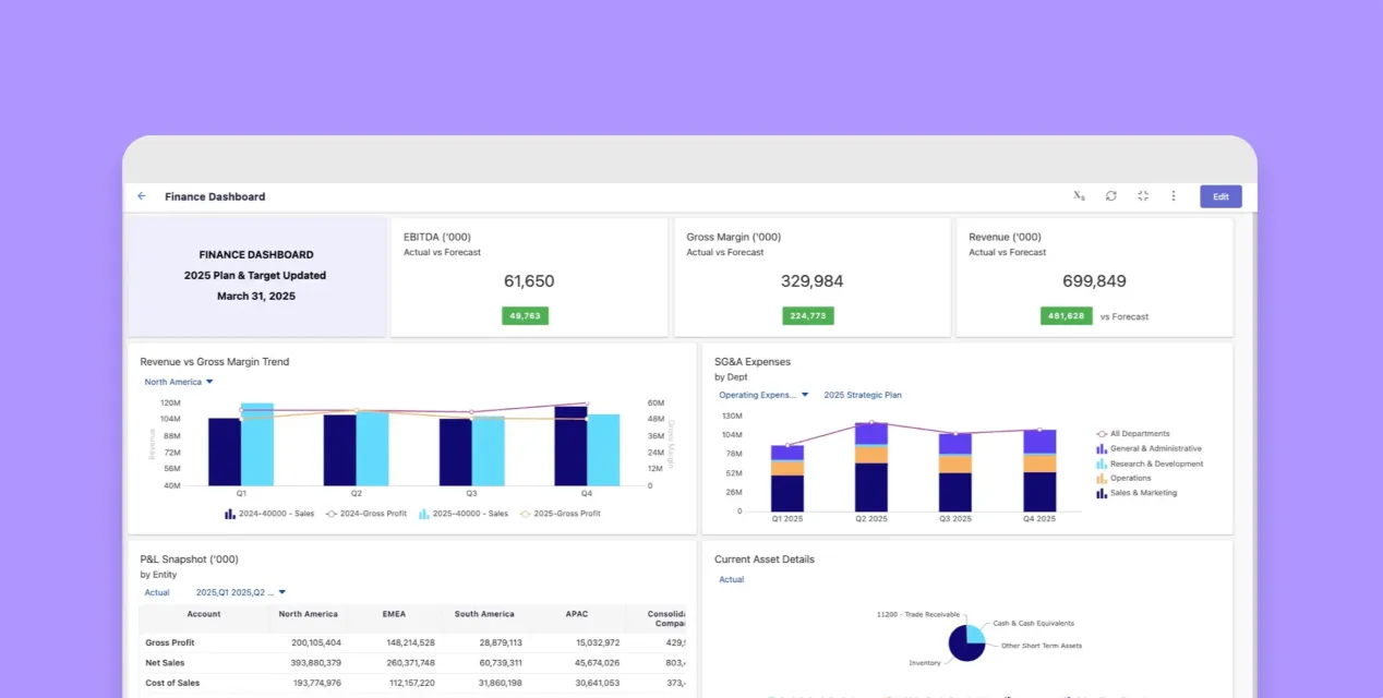 Painful Budget Forecasting Software