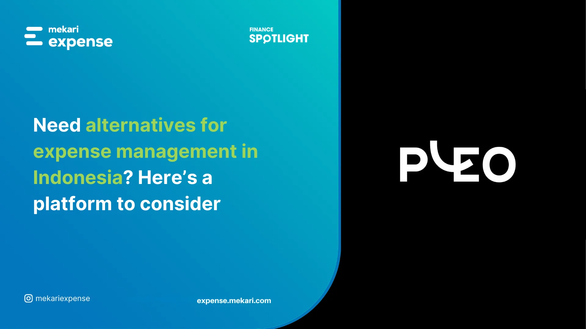 pleo alternative